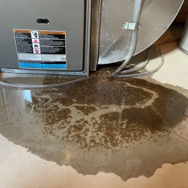 Appliance Leak Cleanup in Thatcher, AZ